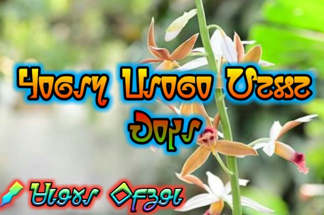 𑢯𑢨𑢵𑢡𑢳 𑢸𑢡𑢨𑢵𑢨 𑢹𑢩𑢥𑢩 𑢺𑢨𑢱𑢡